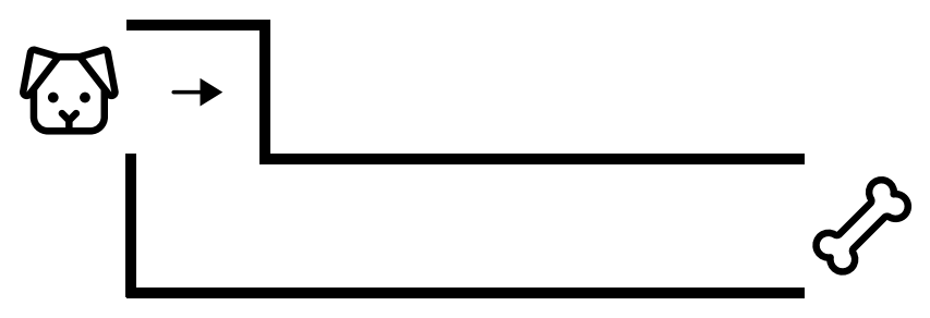 Activity 1: one wide corridor from a dog to a bone, with a single step down and nothing to choose.