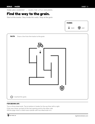 Bonus sheet 3 of 6, not in the book: Find the way to the grain.