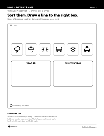 Bonus sheet 1 of 6, not in the book: Sort them. Draw a line to the right box.