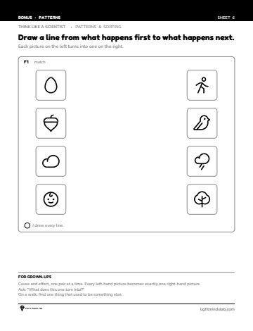 Bonus sheet 6 of 6, not in the book: Draw a line from what happens first to what happens next.