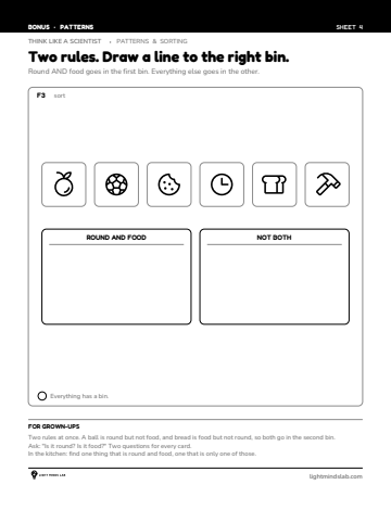 Bonus sheet 4 of 6, not in the book: Two rules. Draw a line to the right bin.